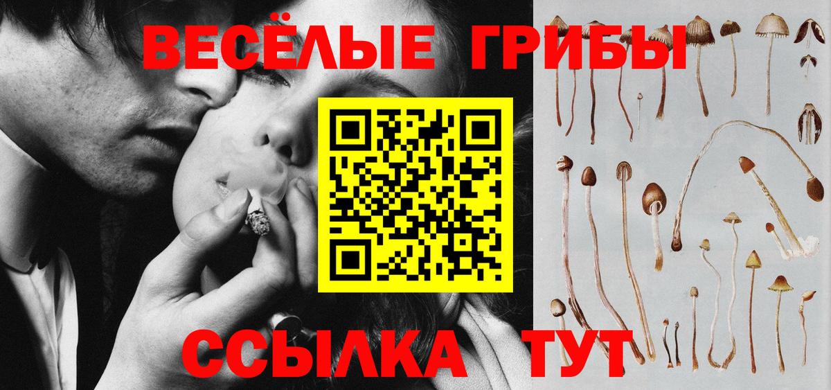 Галлюциногенные грибы Psilocybine cubensis  Вход с VPN  Псилоцибиновые грибы мухоморы  Ярцево 